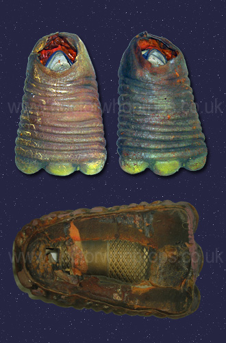 Mestor feet and hand